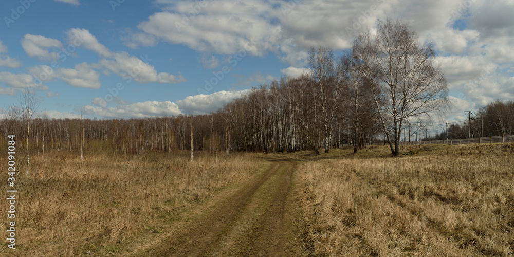 Walking through the forest, beautiful panorama.