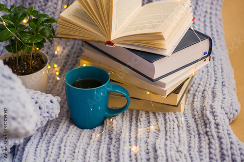 Background of blue knitted plaid and pillows in cosy house with flower in pot and books, mug of tea, a garland. Home place work.