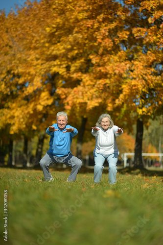 Portrait of fit senior couple exercising in park