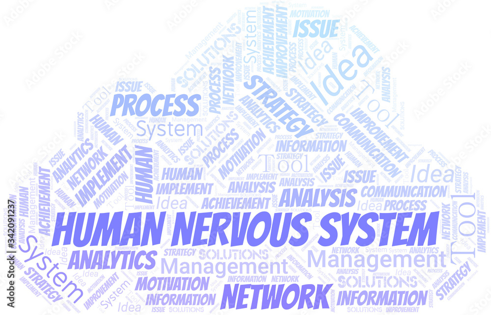 Obraz premium Human Nervous System typography vector word cloud.