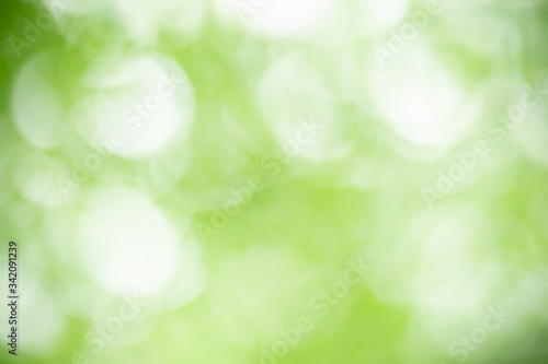 Abstract blurred out of focus and blurred green leaf background under sunlight with bokeh and copy space using as background natural plants landscape, ecology wallpaper concept.