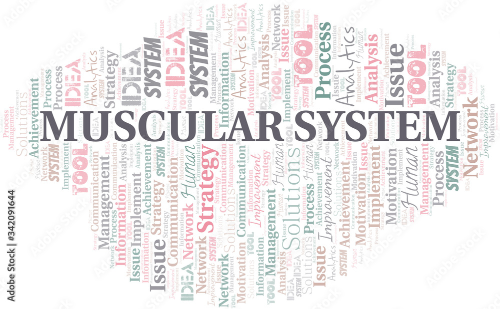 Muscular System typography vector word cloud. Muscular System typography vector word cloud.
