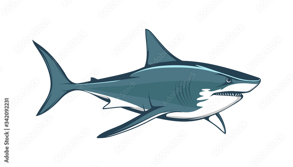 Obraz premium White shark. Saltwater fish. Eater Shark. Carcharodon. Big aggressive shark. Fish a shark a side view sketch. The emblem with shark for a sport team. Angry color shark vector illustration.