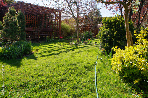 spring lawn in a suburban garden on a sunny day