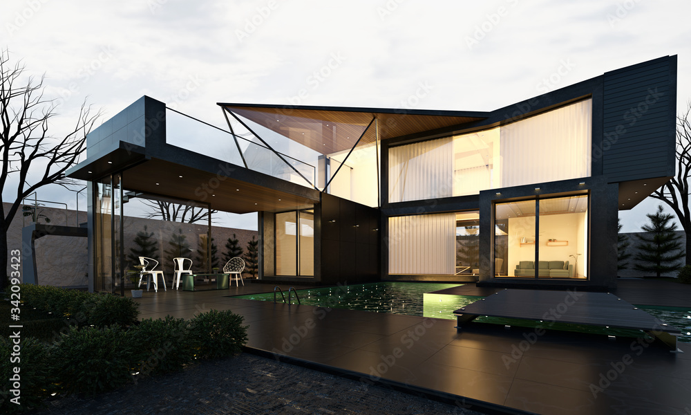 3d rendering exterior architecture modern house in night environment.