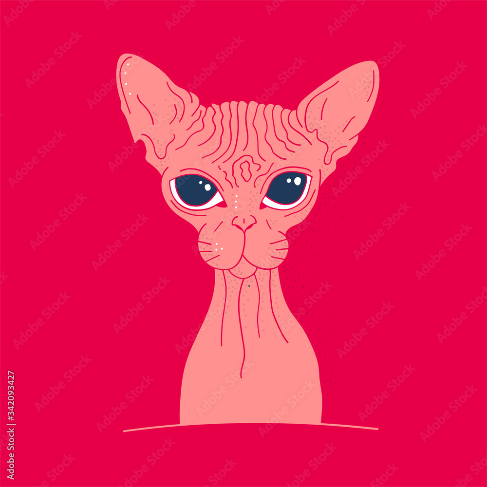 Pink sphinx cat. Portrait. Layout for t-shirts and prints. Doodle style. Freehand drawing in the modern style. Vector illustration.