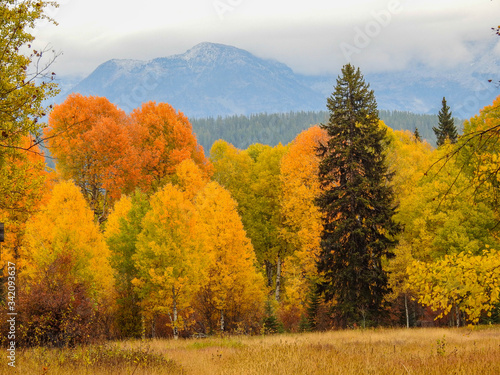 Landscape in Autumn Colors