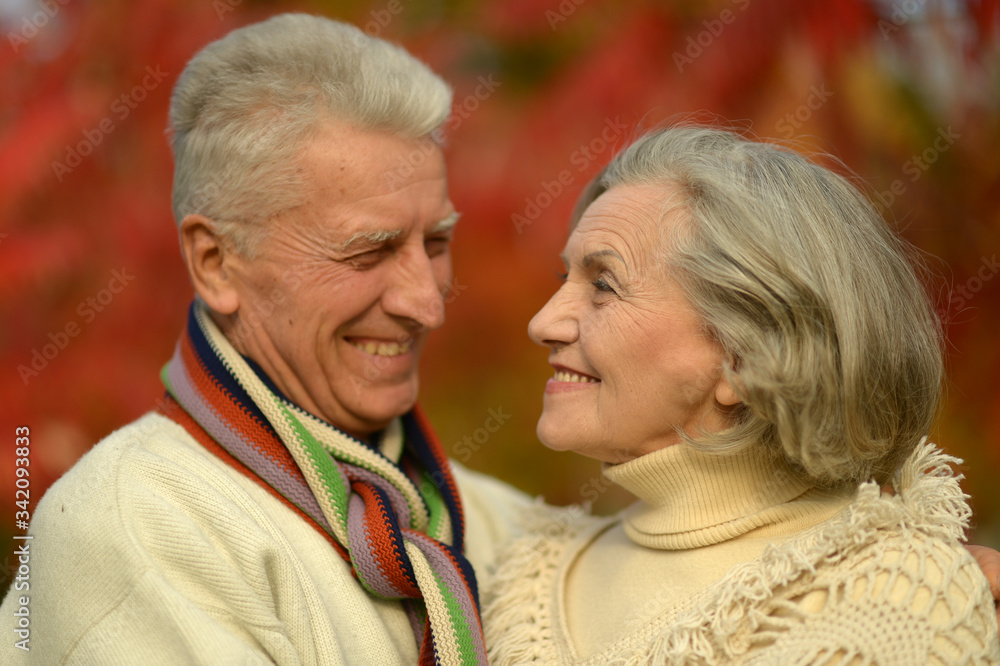 Portrait of beautiful senior couple relaxing in park Portrait of beautiful senior couple relaxing in park