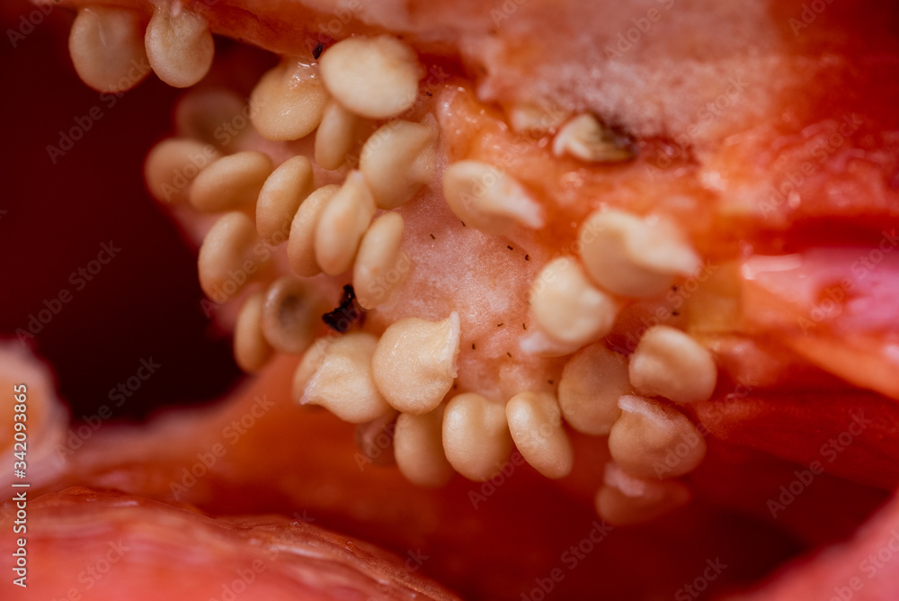 Macro detail of the texture of a raw red pepper inside