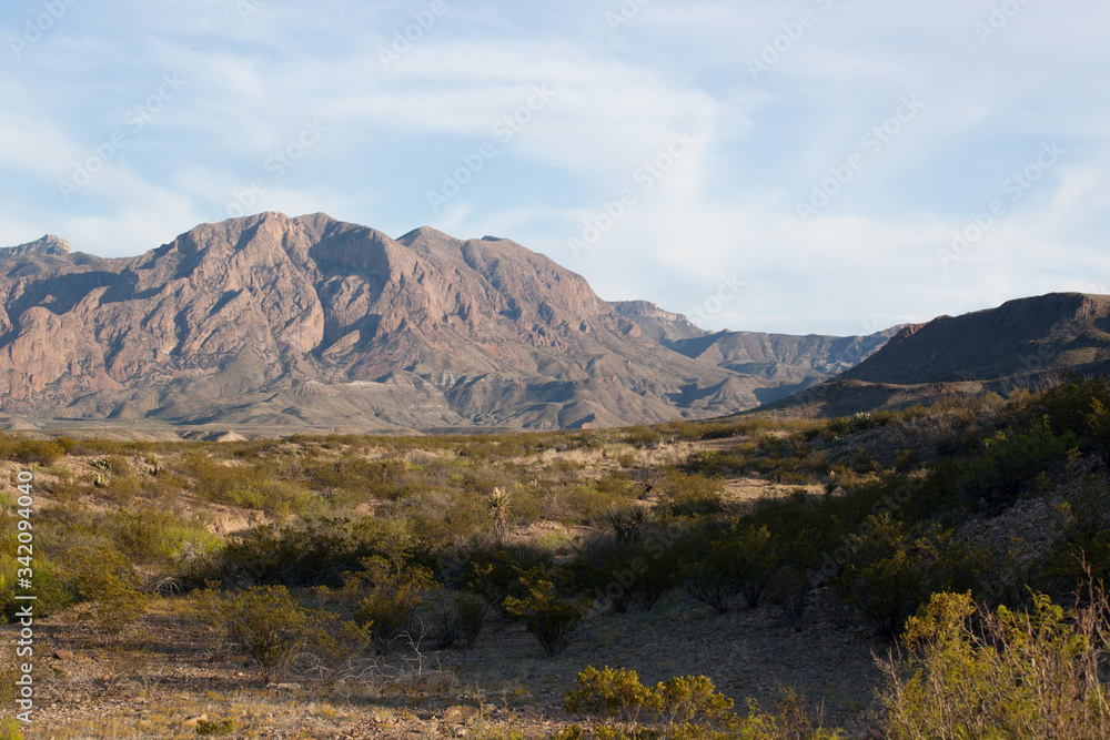 Desert Mountains in the distance