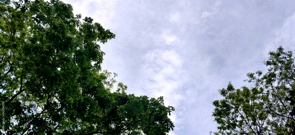 Indian summer sky filled with white clouds Indian summer sky filled with white clouds