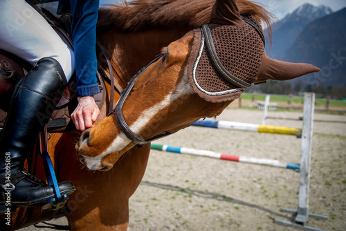 Allenamento con cavallo a Roveredo (Svizzera)