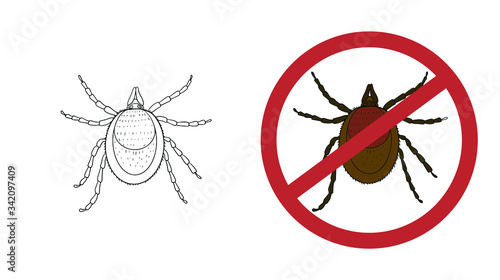 Set of vector mite icons, tick in warning sign, stop parasites.