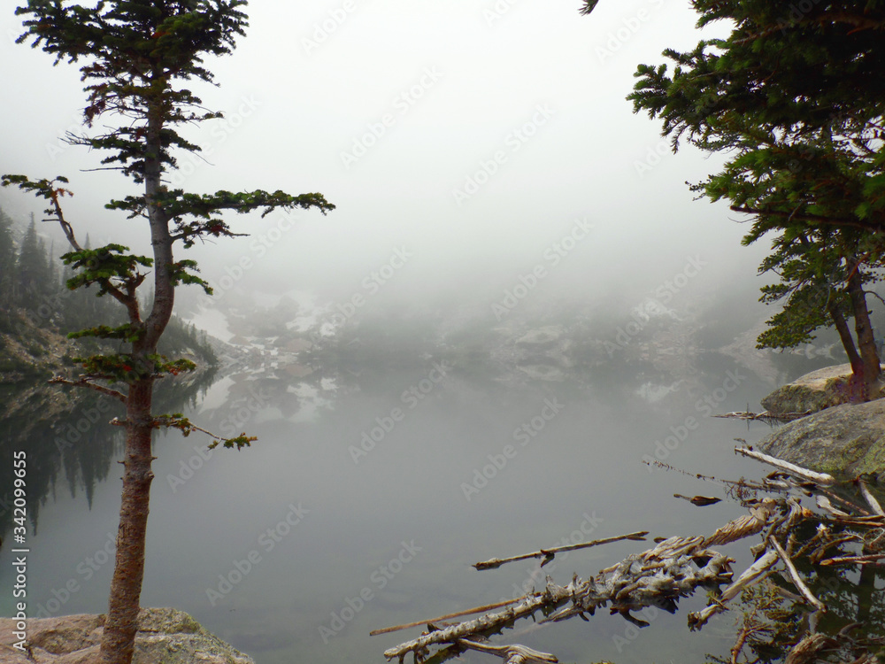 Obraz lone tree overlooking foggy mountain pond