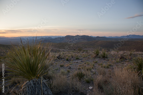 Desert Landscape at sunset