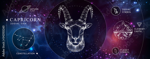 Modern magic witchcraft card with astrology Capricorn zodiac sign. Realistic hand drawing ram or mouflon head. Zodiac characteristic