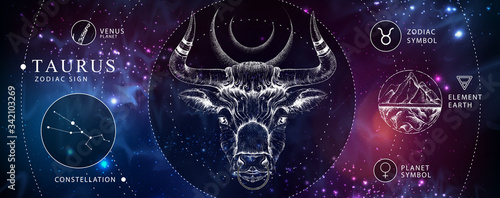 Modern magic witchcraft card with astrology Taurus zodiac sign. Realistic hand drawing bull head. Zodiac characteristic photo