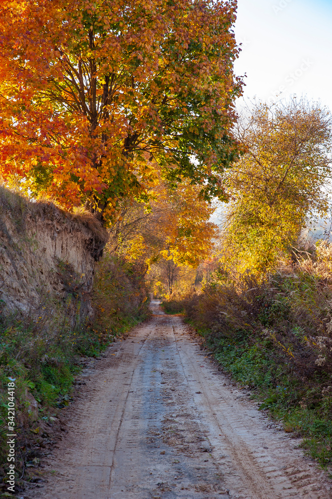 Beautiful autumn pathway in Roztocze region in Poland
