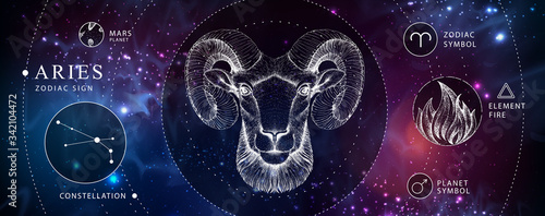 Modern magic witchcraft card with astrology Aries zodiac sign. Realistic hand drawing ram or mouflon head. Zodiac characteristic