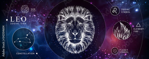 Modern magic witchcraft card with astrology Leo zodiac sign. Realistic hand drawing lion head. Zodiac characteristic