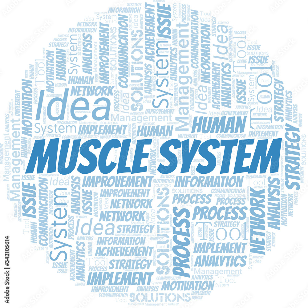 Muscle System typography vector word cloud. Muscle System typography vector word cloud.