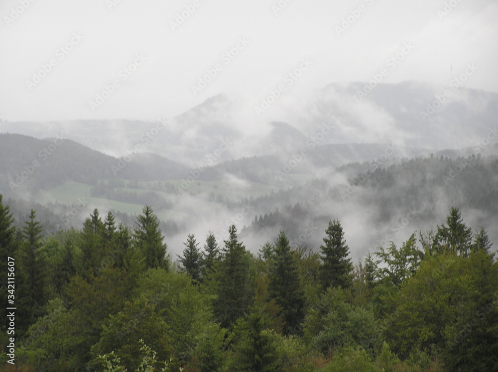 Obraz premium fog in the mountains