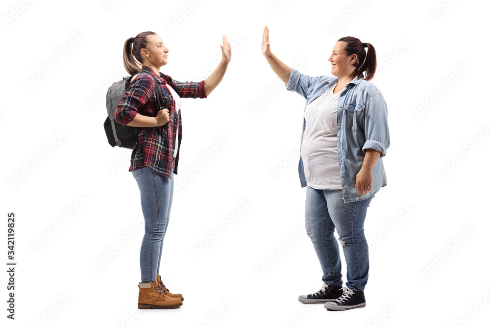Fototapeta premium Casual female friends gesturing high-five