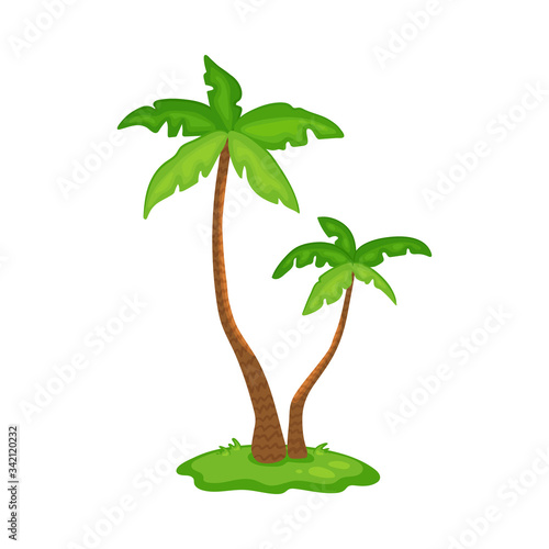 Two palm trees with green leaves - cartoon tropical plants on patch of land