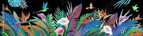 Tropical jungle plants, flower and hummingbirds