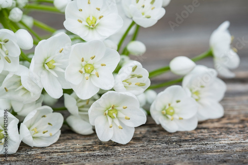 White little spring flowers on a wooden table