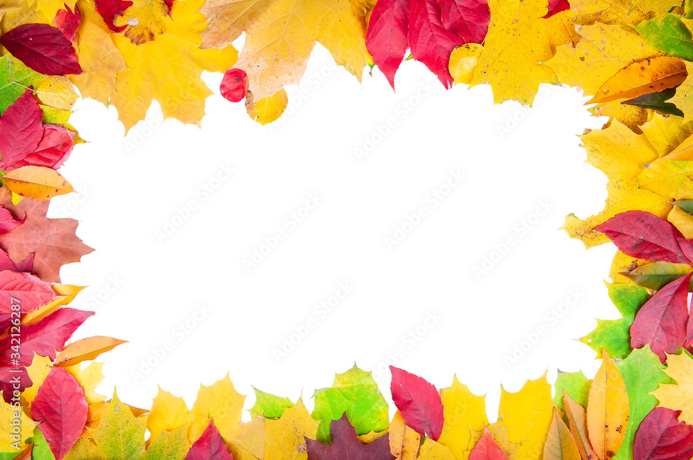 Orange, yellow and green autumn leaves isolated on white background Orange, yellow and green autumn leaves isolated on white background