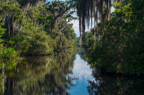 Obraz na plátně Bayou of jean lafitte national park in louisiana