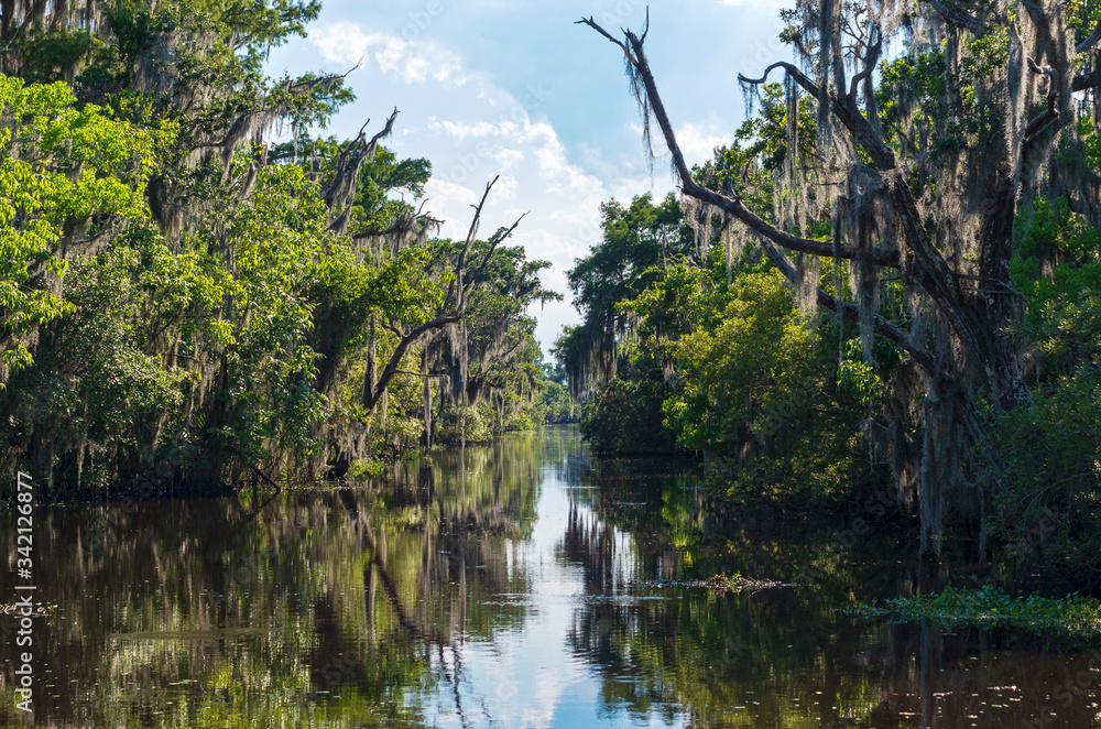 Landscape of jean lafitte national park in louisiana Landscape of jean lafitte national park in louisiana