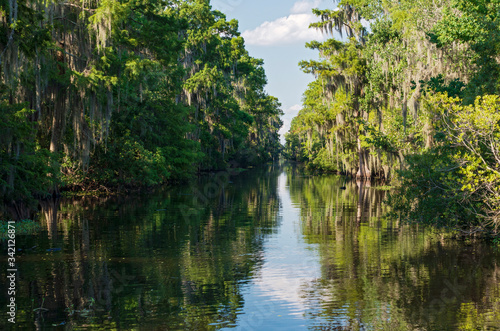 Obraz na płótnie Mississippi river and forest of jean lafitte national park