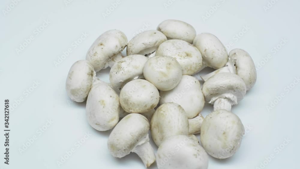 Fresh mushrooms isolated on a white background. White champignons rotate on a subject table. Mushrooms are grown at home. Close-up Fresh mushrooms isolated on a white background. White champignons rotate on a subject table. Mushrooms are grown at home. Close-up