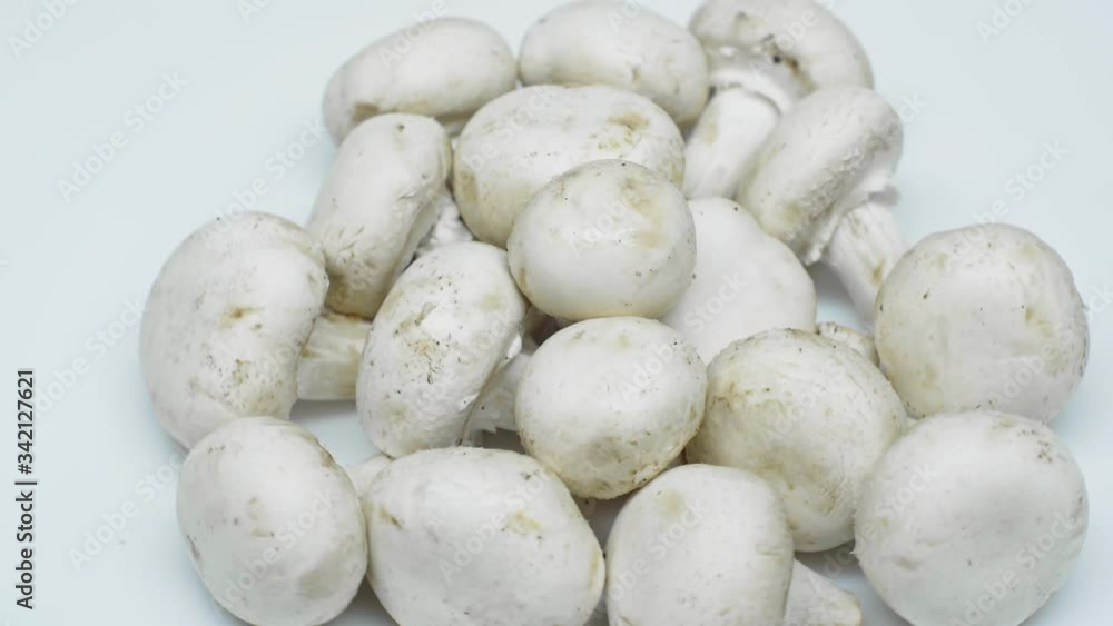 Fresh mushrooms isolated on a white background. White champignons rotate on a subject table. Mushrooms are grown at home. Close-up Fresh mushrooms isolated on a white background. White champignons rotate on a subject table. Mushrooms are grown at home. Close-up