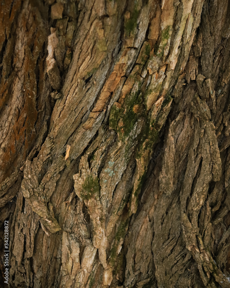 rough brown wood texture pattern close up rough brown wood texture pattern close up