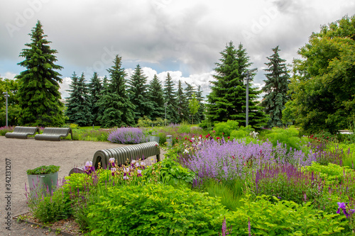 Photography Awe flower blossoming- red, violet ,and greem in Muzeon park , Moscow,Russia