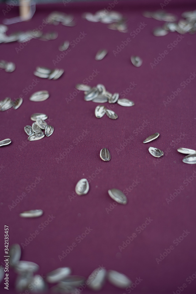 sunflower seed
sunflower seed