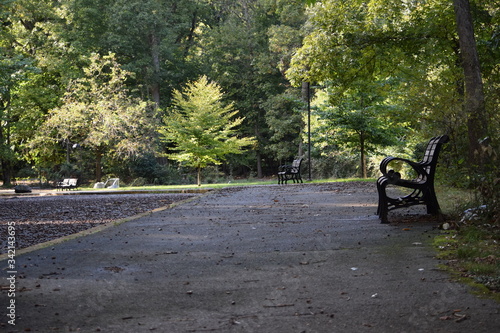 Park Bench and Walkway on a Spring Day © Rachel