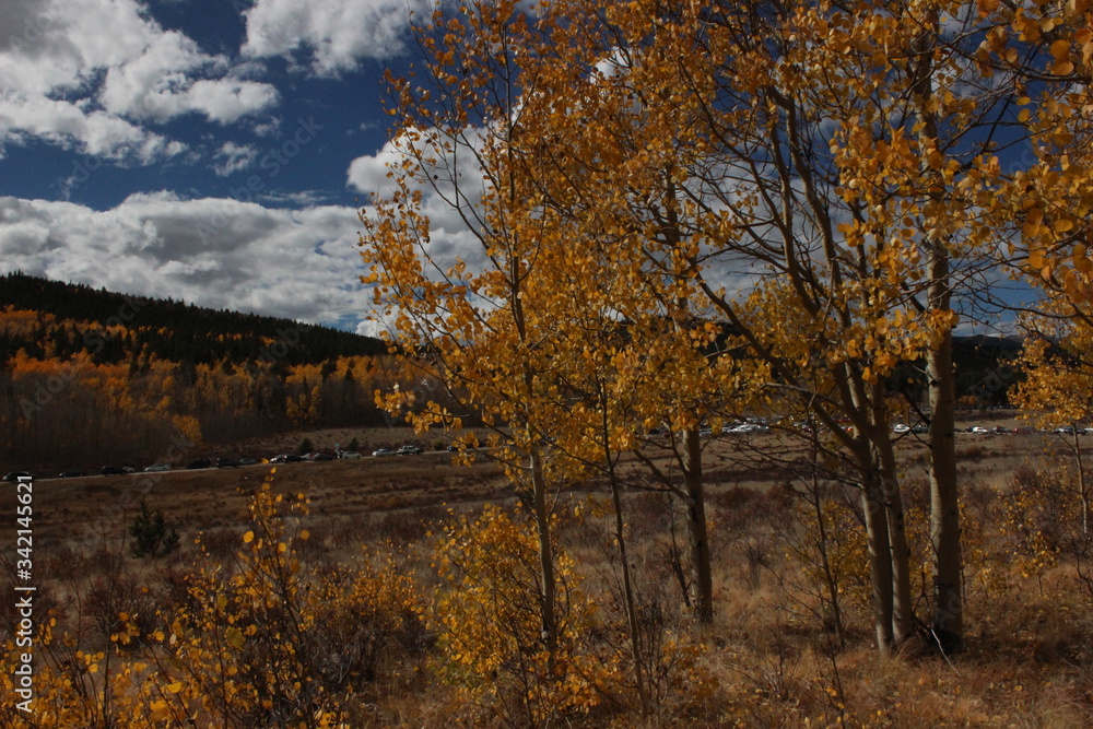 Autumn in the mountains