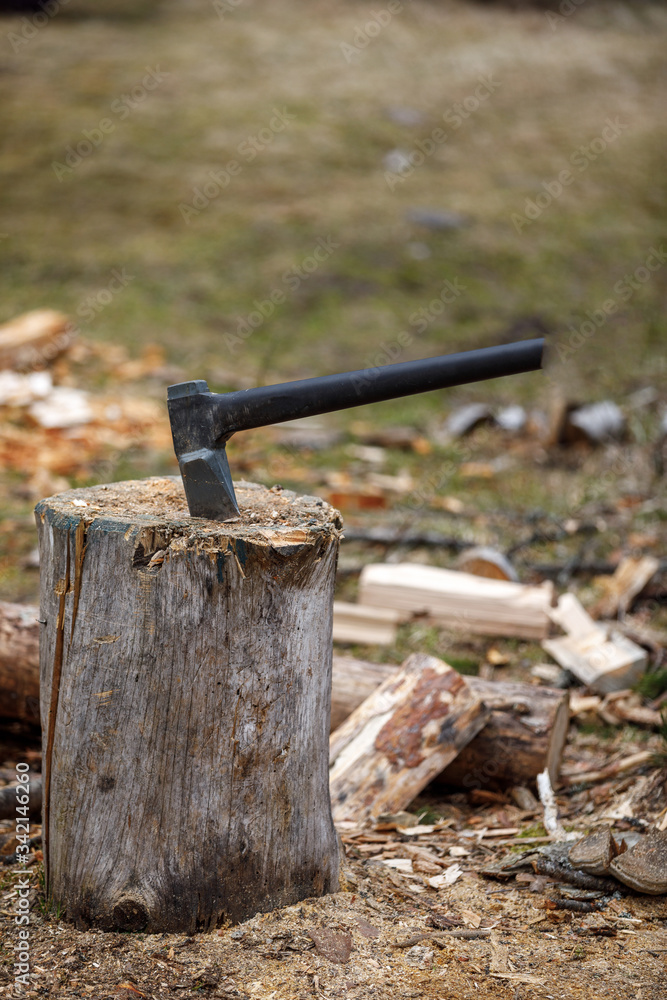 an axe in a tree. Tool for a shot of firewood an axe in a tree. Tool for a shot of firewood
