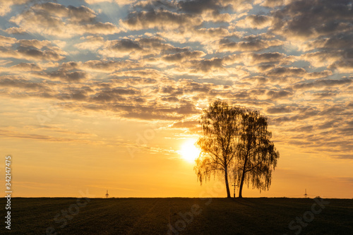 lonely tree with crucifix in sunrise