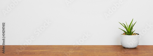Indoor succulent plant in a white pot. Side view on wood shelf against a white wall. Banner with copy space.