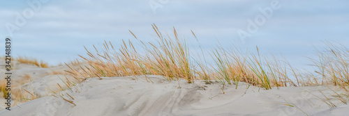 sand dunes at sea on a cold autumn evening