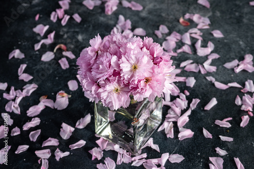 Cherry blossom, sakura flowers in glass jar