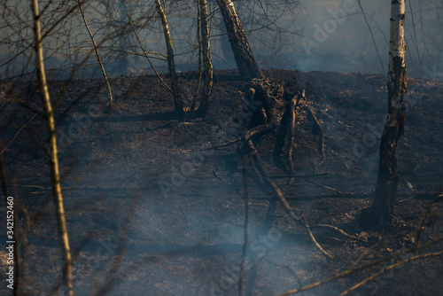 Editorial, Rivne, Ukraine, 11-04-2020, Photographer in Massive Wild Bushfire in Ukraine, Disaster, Ecological Catastrophe
