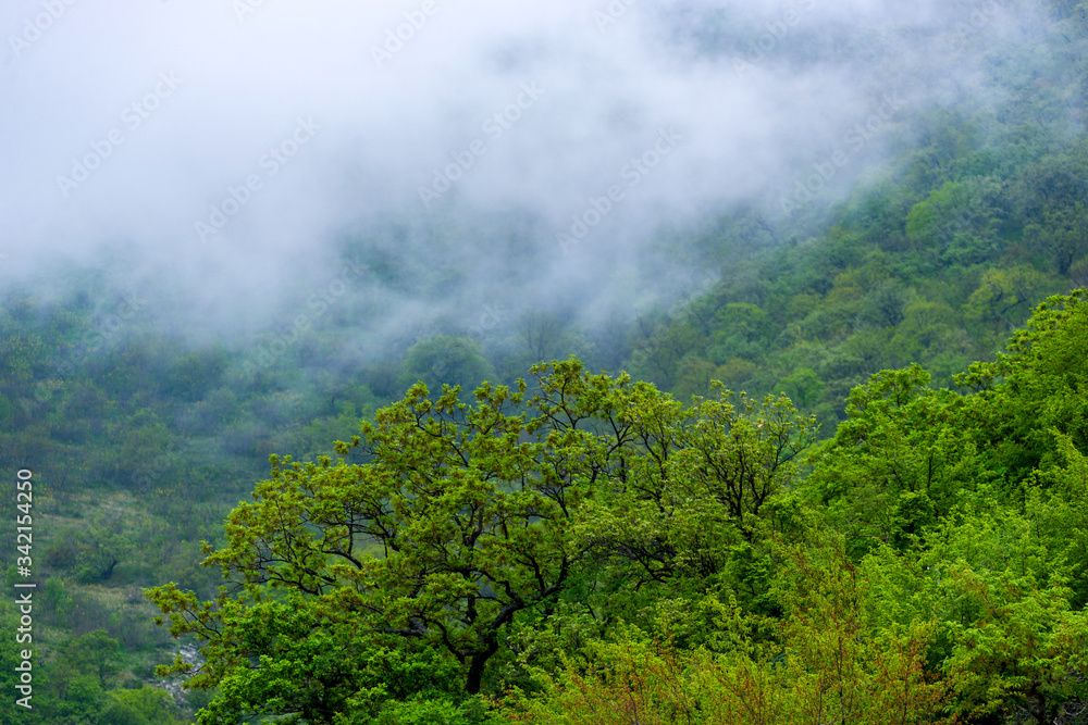 Majestic view on beautiful fog mountains in mist landscape. Dramatic unusual scene. Travel background. Exploring beauty world Majestic view on beautiful fog mountains in mist landscape. Dramatic unusual scene. Travel background. Exploring beauty world