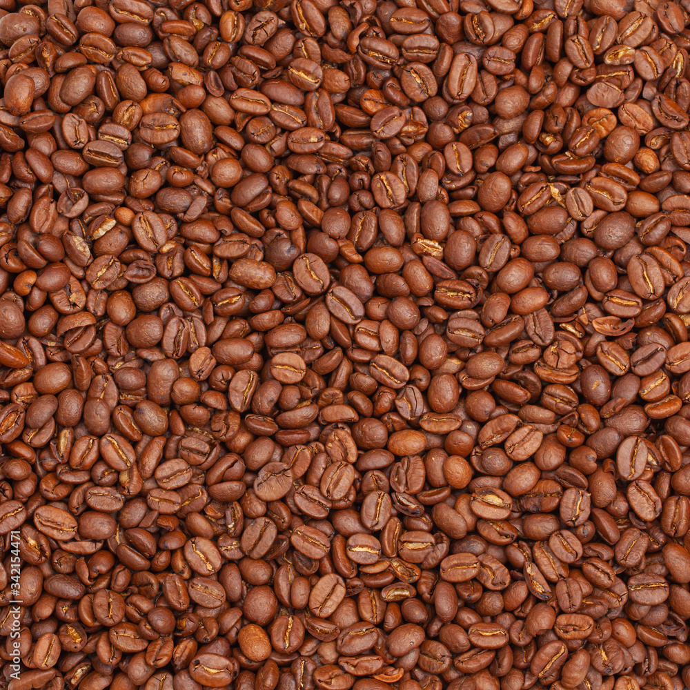 Fototapeta premium coffee beans close up macro