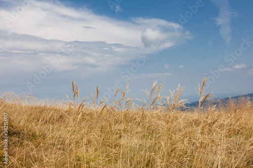 Panorama Blick vom Belchen im Schwarzwald